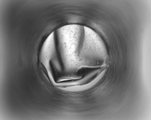 X0000088720539200706212022