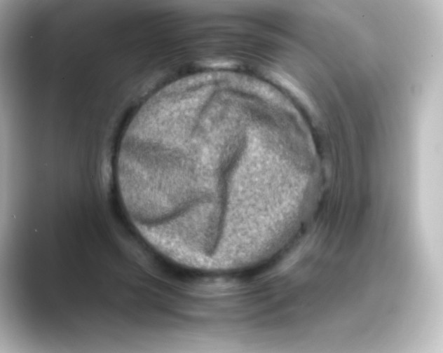 X0000088720541200706212022