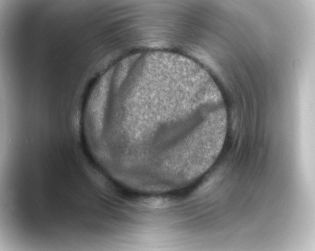 X0000088720542200706212022