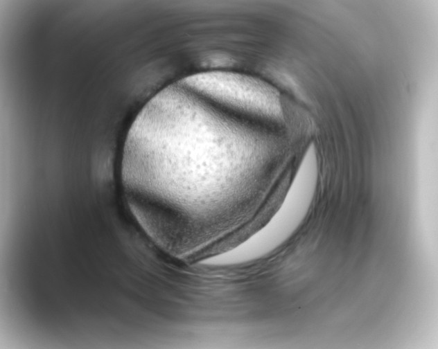 X0000088720543200706212022