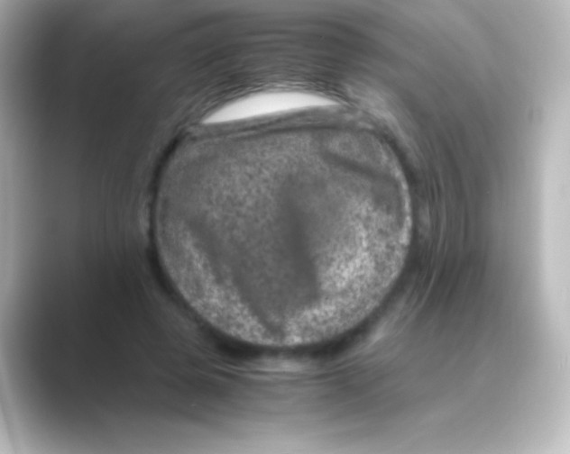 X0000088720545200706212022