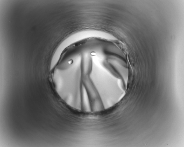 X0000088720546200706212022