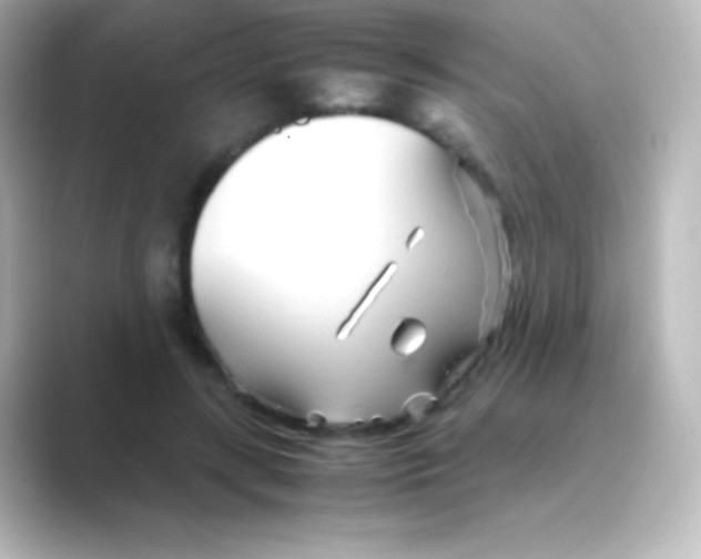 X0000088720547200706212022