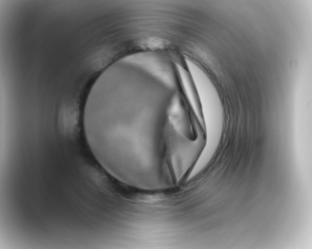 X0000088720548200706212022