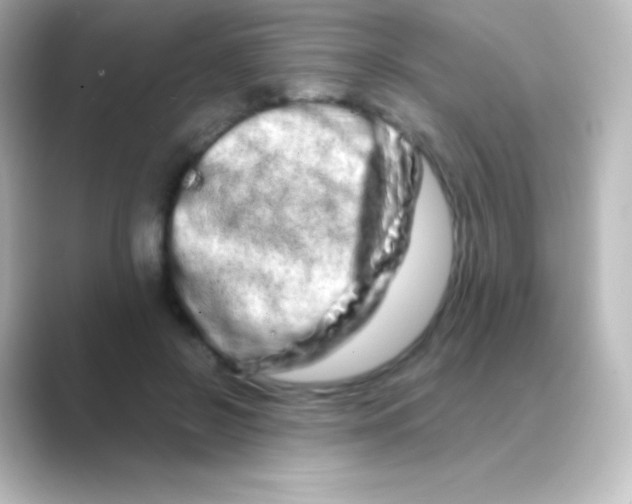 X0000088720550200706212022