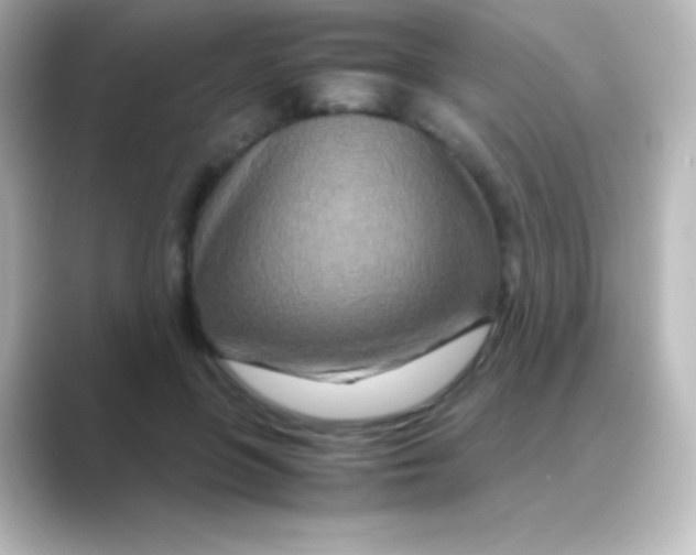 X0000088720551200706212022