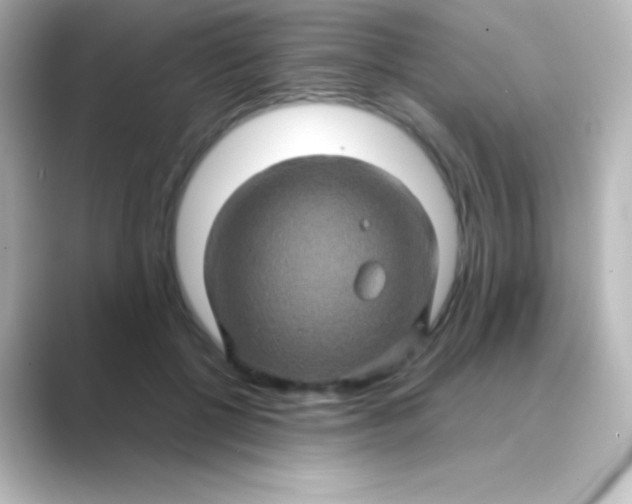 X0000088720552200706212022