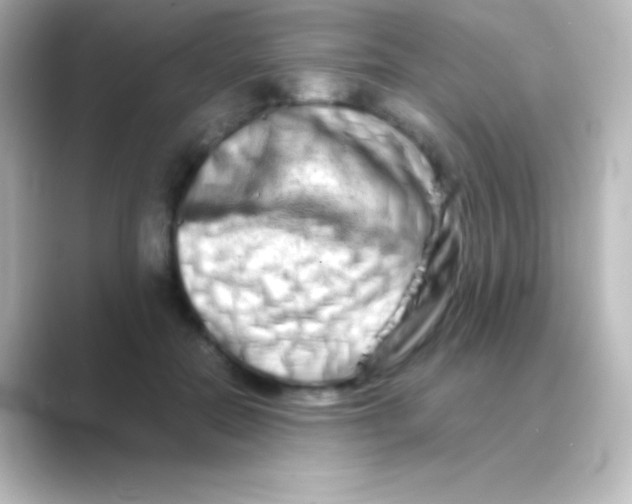 X0000088720554200706212022