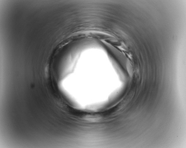 X0000088720556200706212022