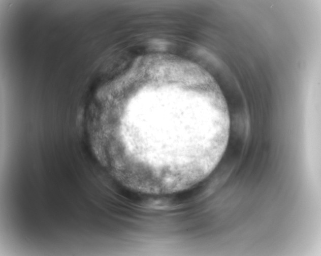 X0000088720557200706212022