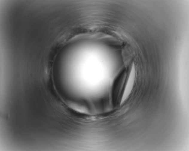 X0000088720558200706212022