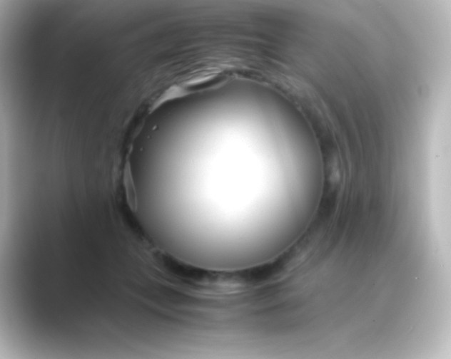 X0000088720559200706212022