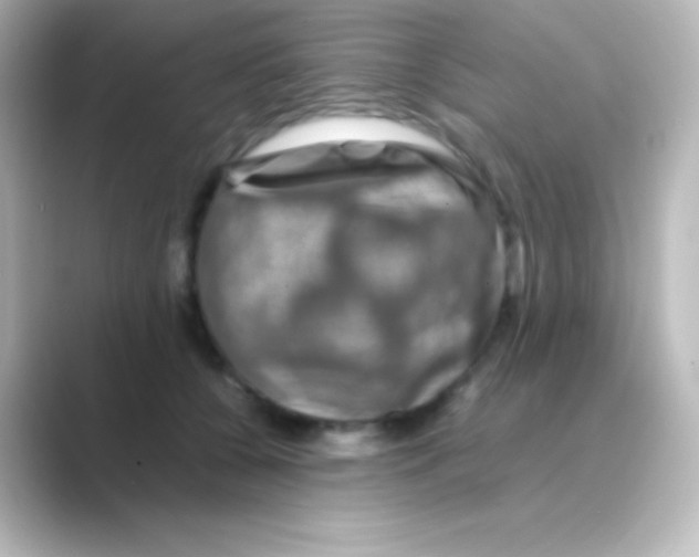 X0000088720560200706212022