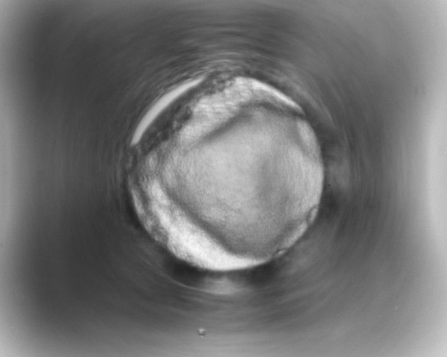 X0000088720561200706212022