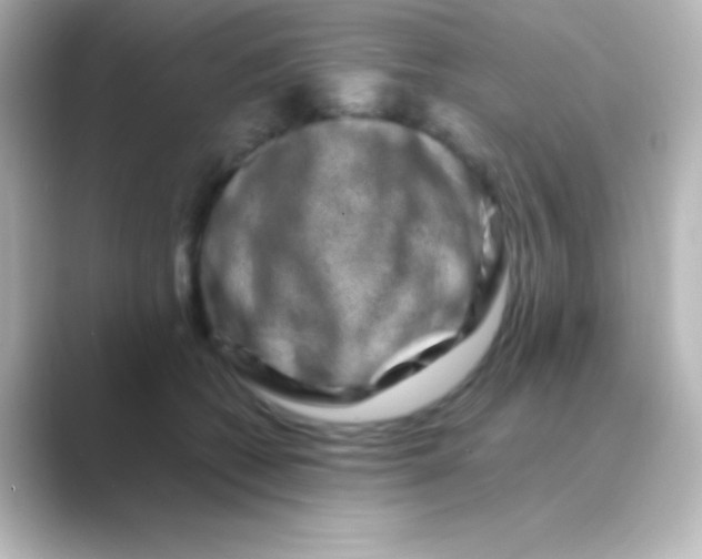 X0000088720562200706212022