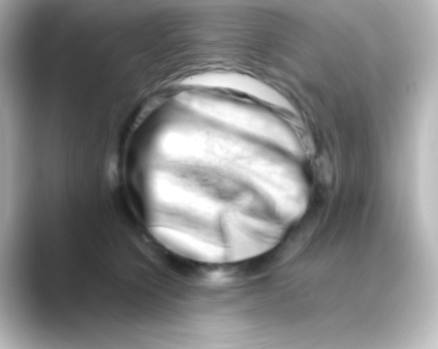 X0000088720564200706212023