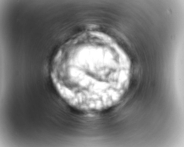 X0000088720565200706212023