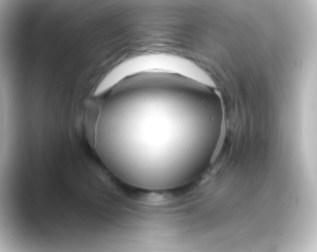 X0000088720566200706212023