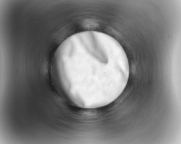 X0000088720567200706212023