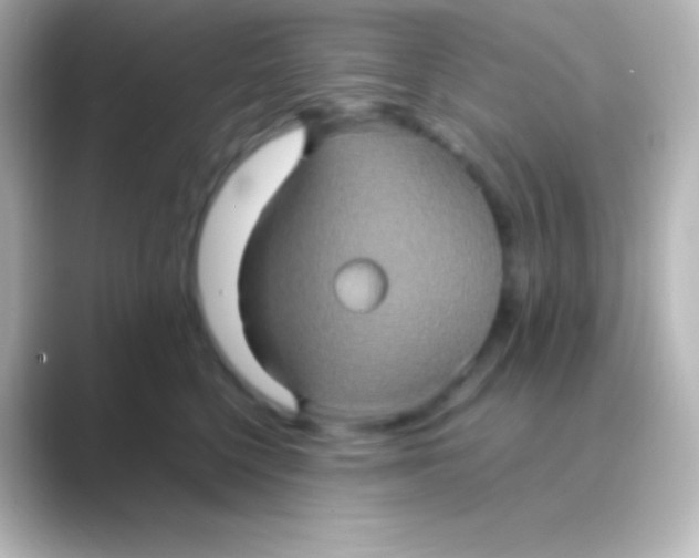 X0000088720568200706212023