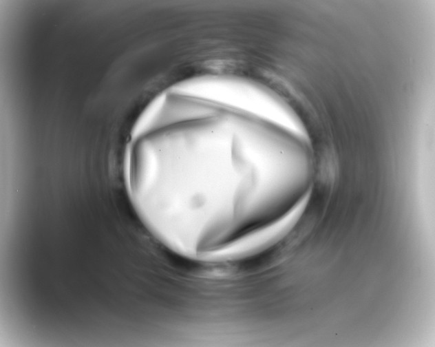 X0000088720569200706212023