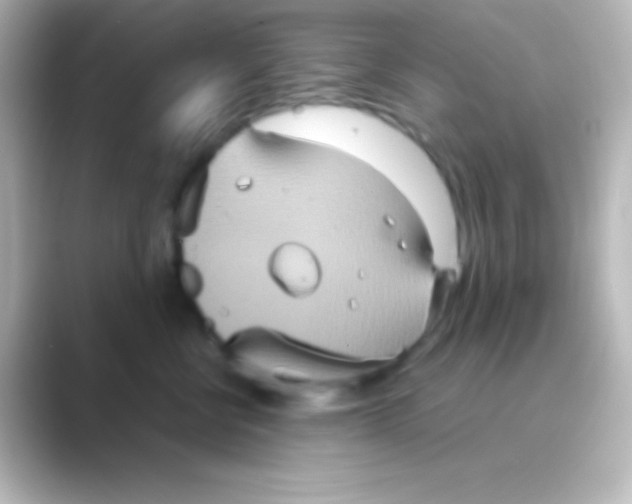 X0000088720570200706212023