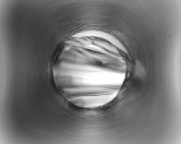 X0000088720572200706212023