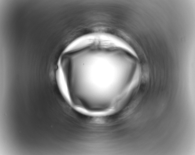 X0000088720573200706212023