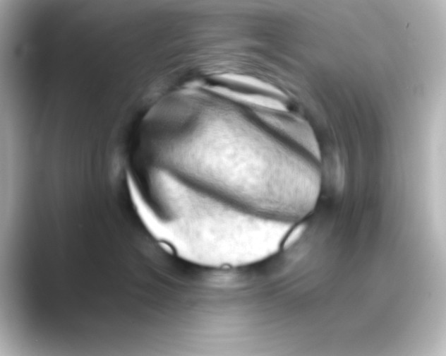 X0000088720574200706212023