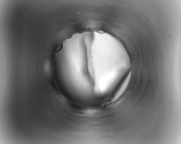 X0000088720575200706212023