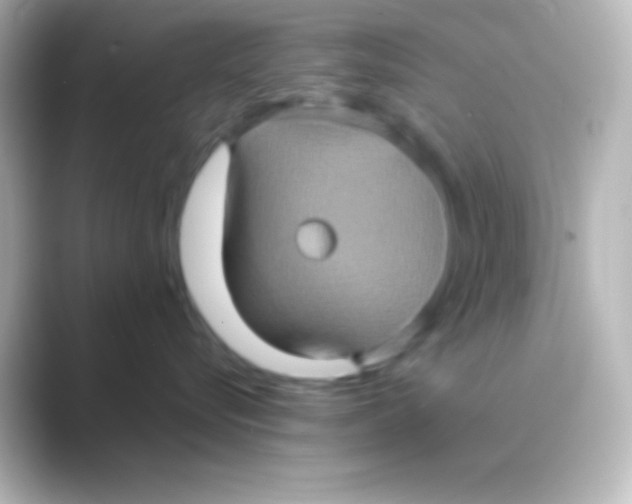 X0000088720576200706212023