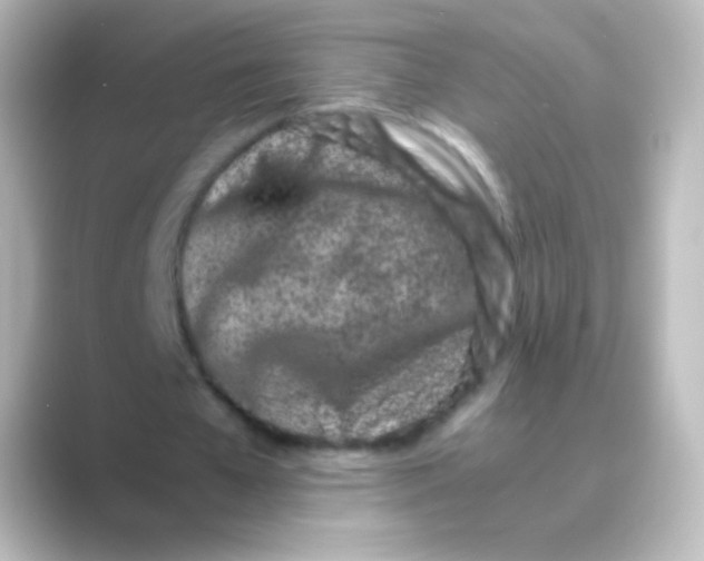 X0000088720577200706212022