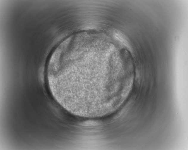 X0000088720578200706212022