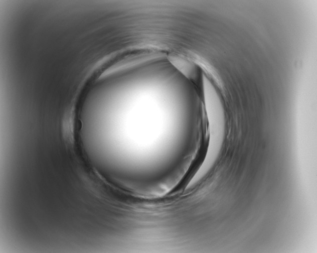 X0000088720580200706212022