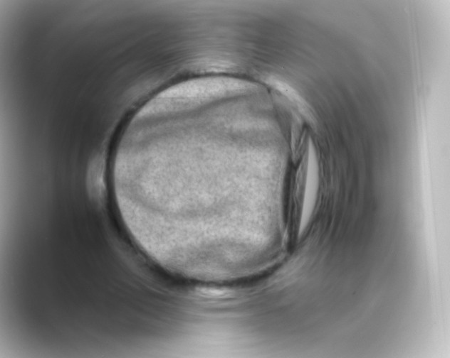 X0000088720582200706212022