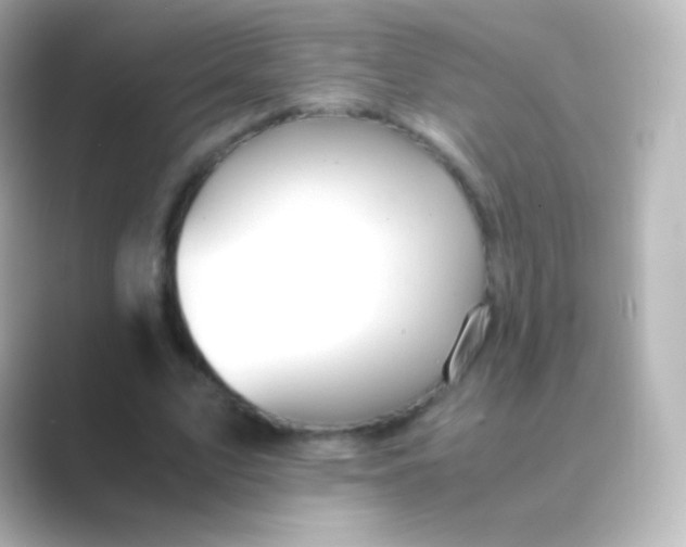 X0000088720583200706212022