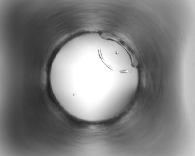 X0000088720584200706212022