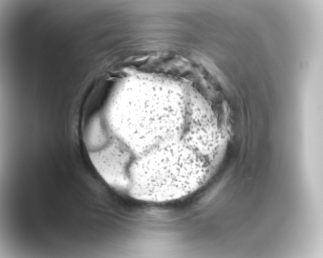 X0000088720585200706212022