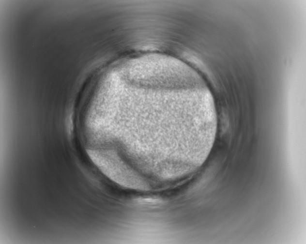 X0000088720586200706212022