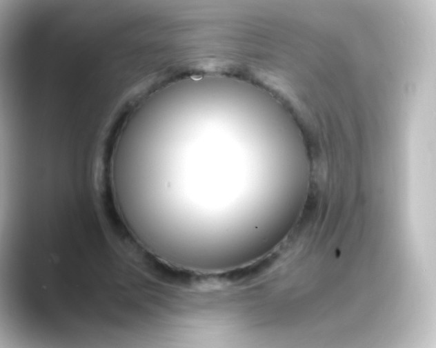 X0000088720587200706212022