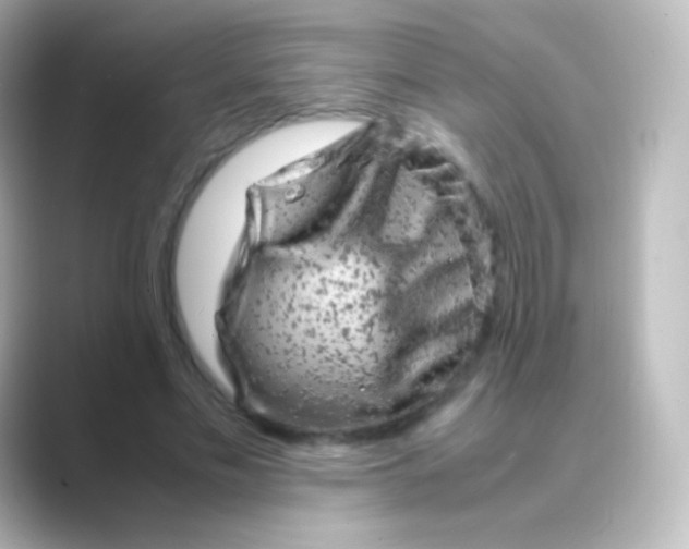 X0000088720589200706212022