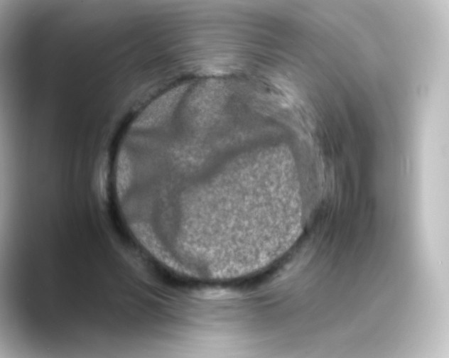 X0000088720590200706212022