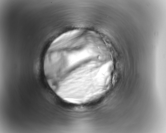 X0000088720591200706212022