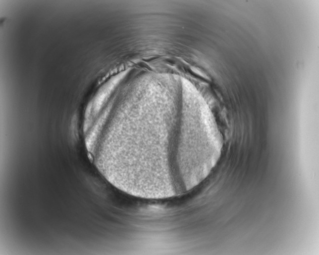 X0000088720594200706212022