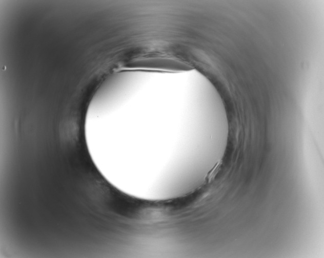 X0000088720595200706212022