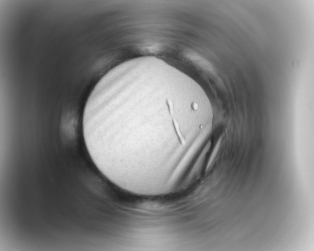 X0000088720596200706212022