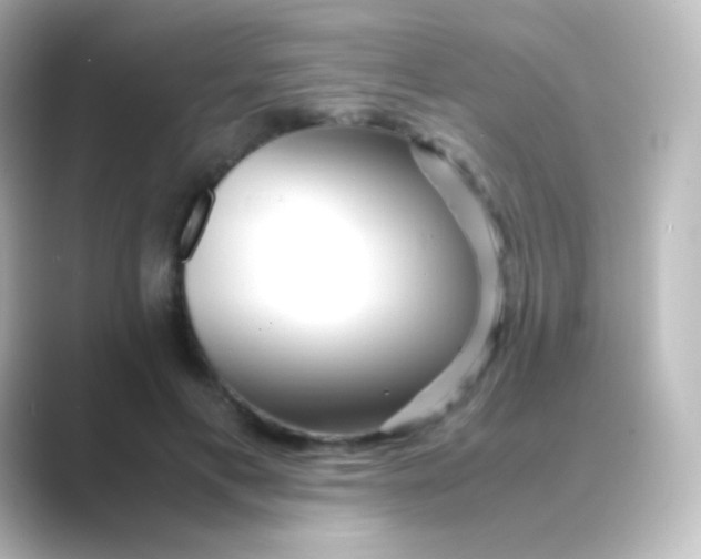 X0000088720597200706212022