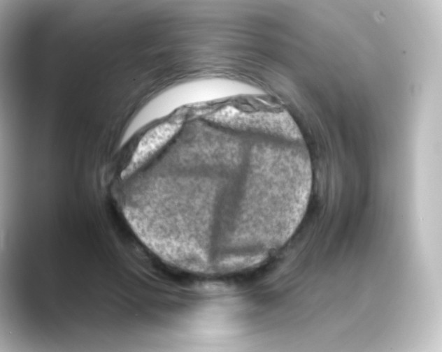 X0000088720598200706212022