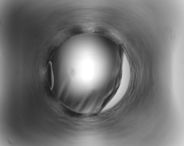 X0000088720601200706212022