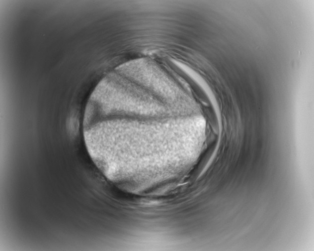 X0000088720602200706212022